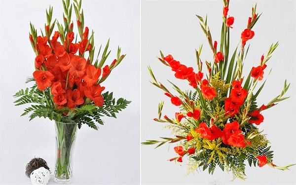 2 cách cắm hoa lay ơn nghệ thuật tuyệt đẹp chỉ trong 5 phút